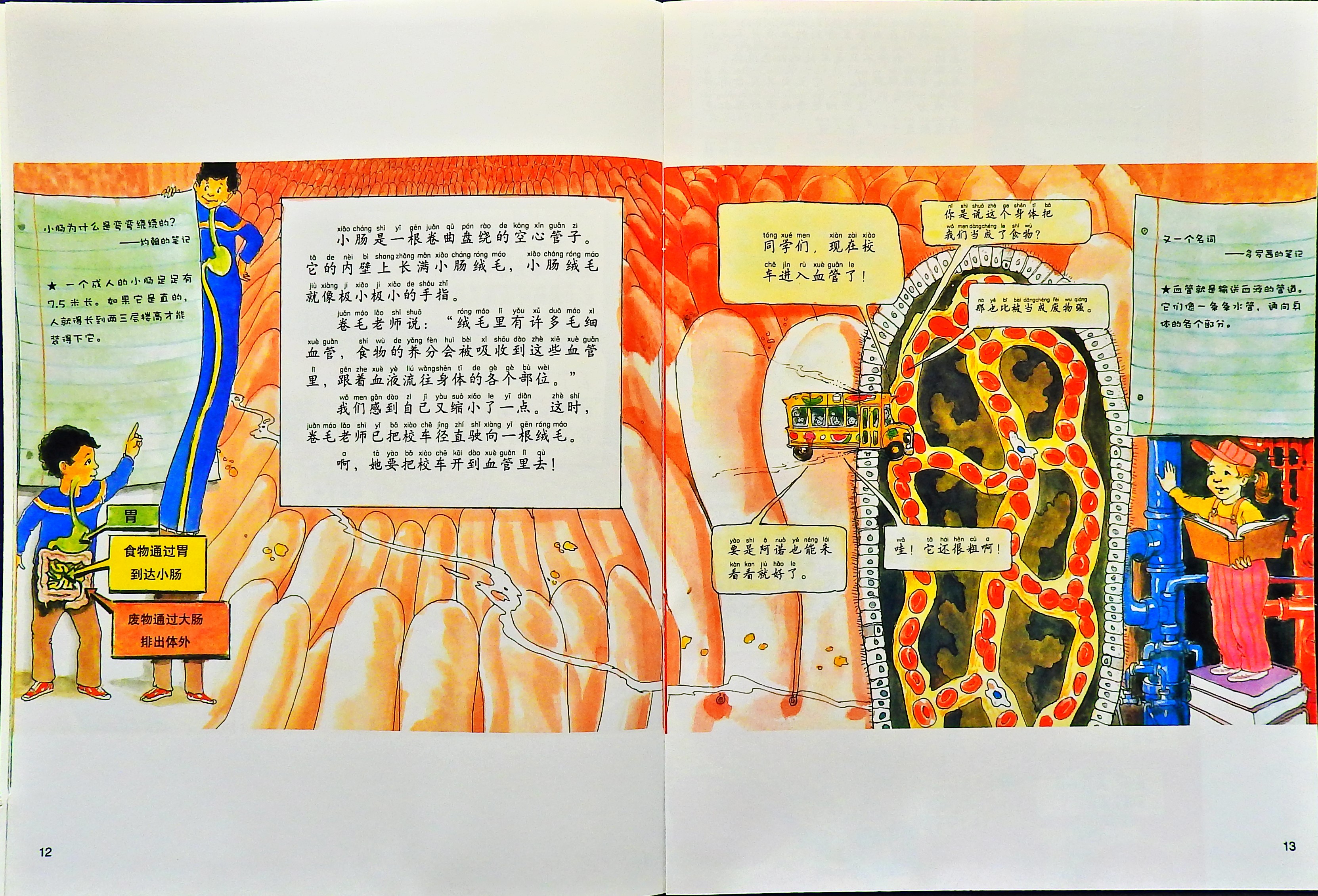 在人体中游览 (08),绘本,绘本故事,绘本阅读,故事书,童书,图画书,课外阅读